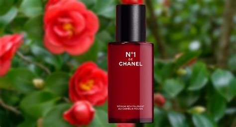 is chanel eco friendly|is chanel environmentally friendly.